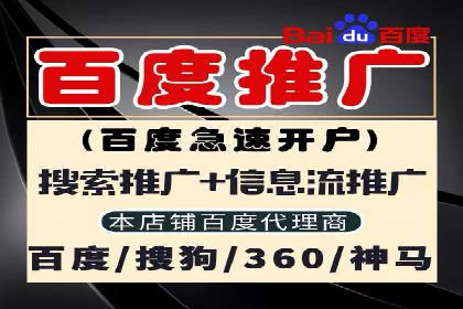 竞价托管实战案例：提升广告点击率与转化率